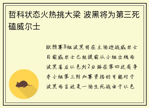 哲科状态火热挑大梁 波黑将为第三死磕威尔士